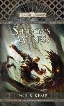 Shadow's Witness