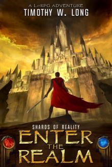 SHARDS OF REALITY: A LitRPG novel (Enter the Realm Book 1)