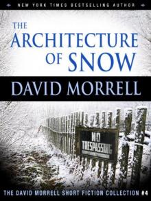 The Architecture of Snow (The David Morrell Short Fiction Collection #4)