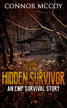 The Hidden Survivor (Book 1): The Hidden Survivor