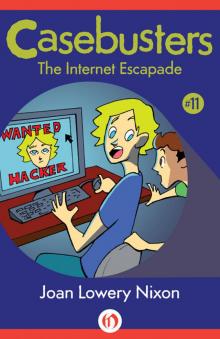 The Internet Escapade