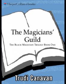 The Magicians' Guild