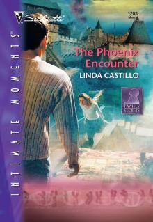 The Phoenix Encounter
