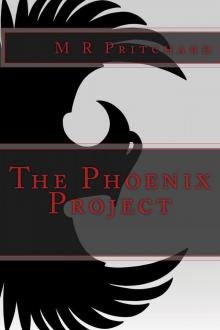 The Phoenix Project