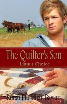 The Quilter's Son: Book One: Liam's Choice