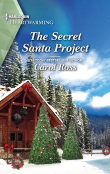 The Secret Santa Project