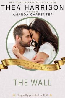 The Wall: A Vintage Contemporary Romance