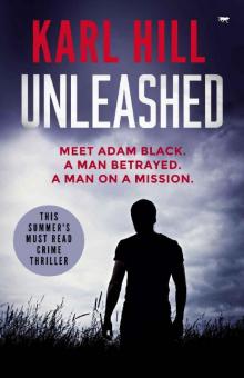 Unleashed: this summer's must-read crime thriller