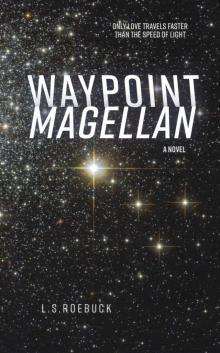 Waypoint Magellan