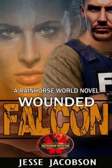 Wounded Falcon: Brotherhood Protectors World