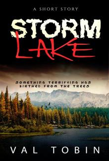 Storm Lake