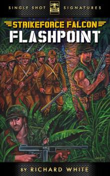 Tales of Strikeforce Falcon, Book 1: Flashpoint