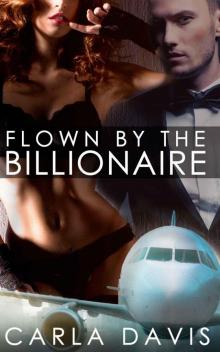 3 BOOK BUNDLE: Flown By The Billionaire I, II, & III