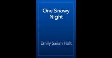 One Snowy Night