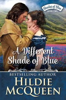 A Different Shade of Blue, Shades of Blue, Book 2