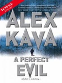 A Perfect Evil (Maggie O'Dell Novels)