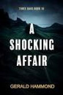 A Shocking Affair