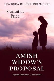 Amish Widow's Proposal