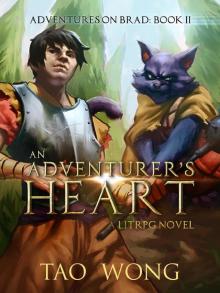 An Adventurer's Heart- a LitRPG Adventure