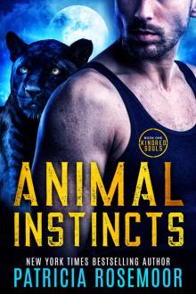 Animal Instincts (Kindred Souls Book 1)