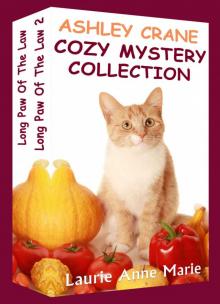 Ashley Crane Cozy Mystery Collection