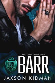 BARR: a bay falls high novel