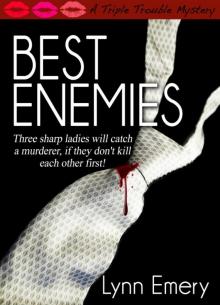 Best Enemies (A Triple Trouble Mystery)