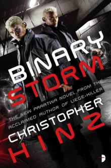 Binary Storm