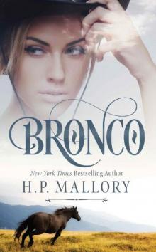 Bronco_A Contemporary Cowboy Romance