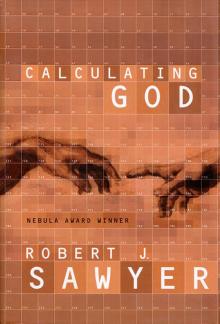 Calculating God