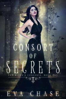 Consort of Secrets