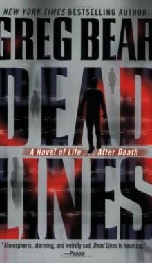 Dead Lines, A Novel of Life... After Death