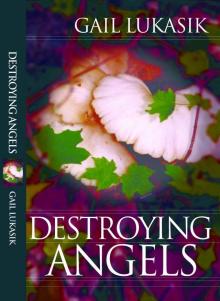 Destroying Angels (Leigh Girard Book 1)