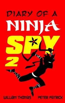 Diary of a Ninja Spy 2: The Shadow Returns (Diary of a Sixth Grade Ninja Spy)