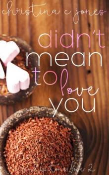 Didn't Mean To Love You (Serendipitous Love Book 2)