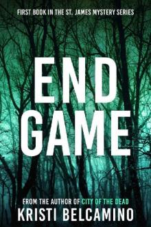 END GAME: A St. James Mystery (St. James Mysteries Book 1)