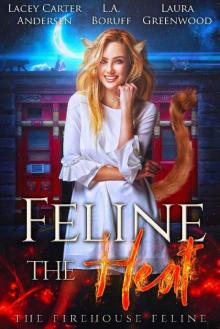 Feline the Heat (The Firehouse Feline Book 1)