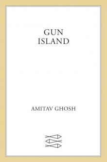 Gun Island