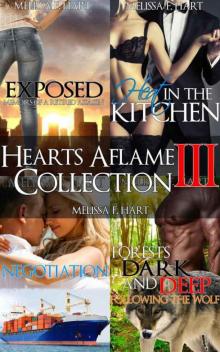 Hearts Aflame Collection III: 4-Book Bundle