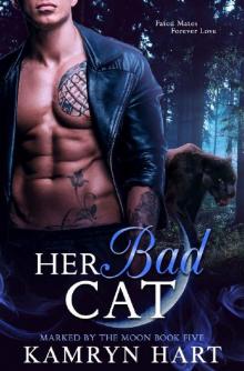 Her Bad Cat (Marked by the Moon Book 5) - Paranormal Black Panther Shifter Romance