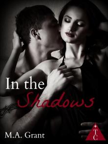 In the Shadows (The Club, #10)