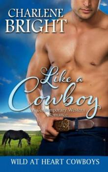 Like A Cowboy (Wild At Heart Cowboys Book 1)