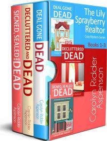 Lily Sprayberry Realtor Box Set