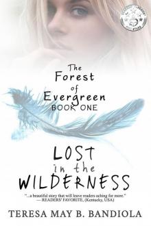 Lost in the Wilderness - The Forest of Evergreen Book 1