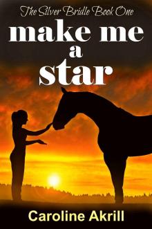 Make me a Star (The Silver Bridle Book 1)