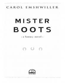 Mister Boots