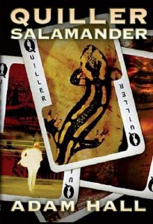 Quiller Salamander