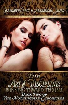 The Art of Discipline: Running Toward Trouble (The Mockingbird Chronicles)