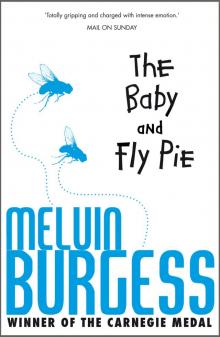 The Baby and Fly Pie