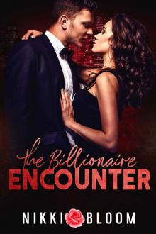 The Billionaire Encounter